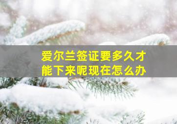 爱尔兰签证要多久才能下来呢现在怎么办