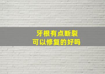 牙根有点断裂可以修复的好吗