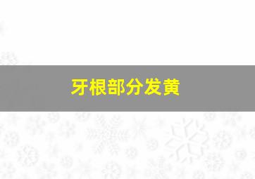 牙根部分发黄