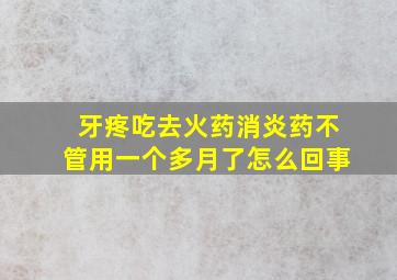 牙疼吃去火药消炎药不管用一个多月了怎么回事