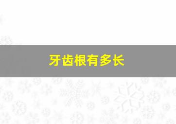 牙齿根有多长