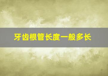 牙齿根管长度一般多长