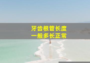 牙齿根管长度一般多长正常