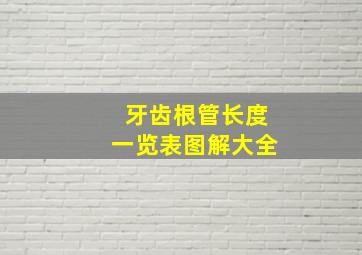 牙齿根管长度一览表图解大全