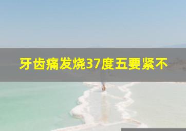 牙齿痛发烧37度五要紧不