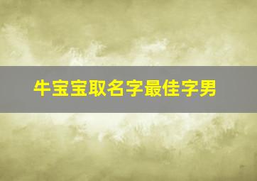 牛宝宝取名字最佳字男