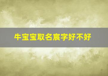 牛宝宝取名宸字好不好