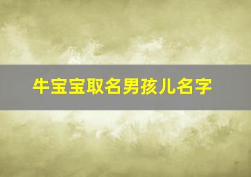 牛宝宝取名男孩儿名字