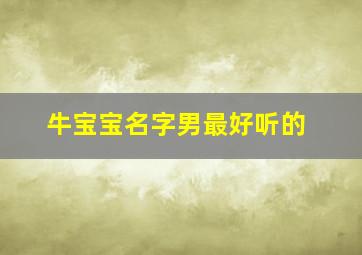 牛宝宝名字男最好听的