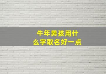 牛年男孩用什么字取名好一点