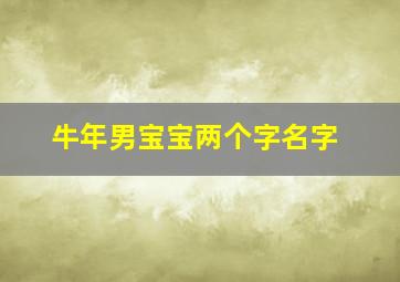 牛年男宝宝两个字名字