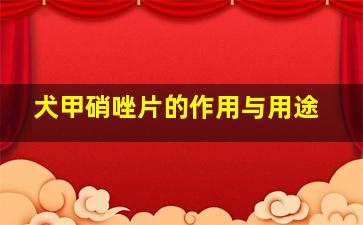 犬甲硝唑片的作用与用途