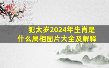 犯太岁2024年生肖是什么属相图片大全及解释