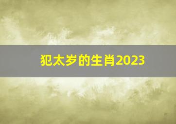 犯太岁的生肖2023