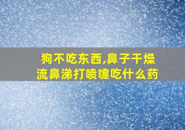 狗不吃东西,鼻子干燥流鼻涕打喷嚏吃什么药