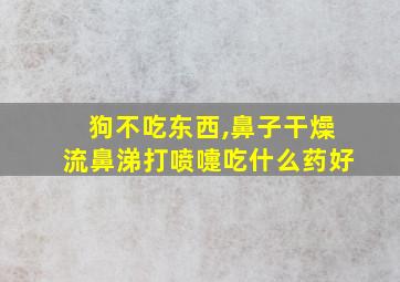 狗不吃东西,鼻子干燥流鼻涕打喷嚏吃什么药好