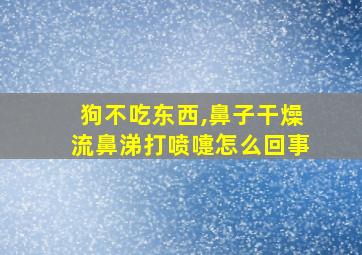 狗不吃东西,鼻子干燥流鼻涕打喷嚏怎么回事