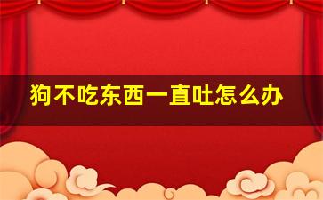 狗不吃东西一直吐怎么办