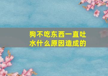 狗不吃东西一直吐水什么原因造成的