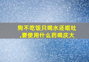 狗不吃饭只喝水还呕吐,要使用什么药喝庆大