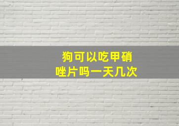 狗可以吃甲硝唑片吗一天几次