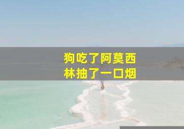 狗吃了阿莫西林抽了一口烟