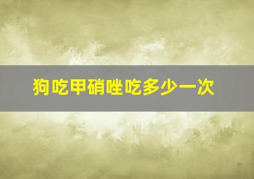 狗吃甲硝唑吃多少一次