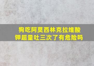 狗吃阿莫西林克拉维酸钾超量吐三次了有危险吗