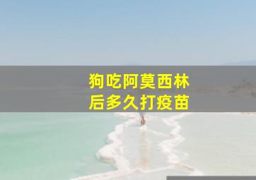 狗吃阿莫西林后多久打疫苗