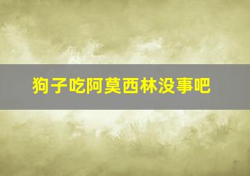 狗子吃阿莫西林没事吧