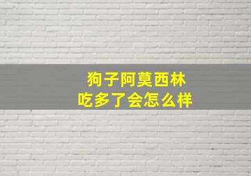 狗子阿莫西林吃多了会怎么样