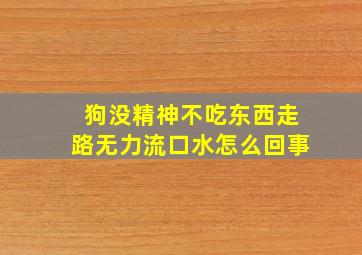 狗没精神不吃东西走路无力流口水怎么回事