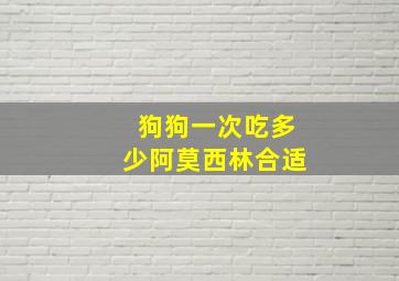 狗狗一次吃多少阿莫西林合适