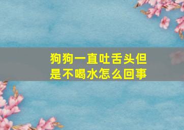 狗狗一直吐舌头但是不喝水怎么回事