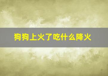 狗狗上火了吃什么降火