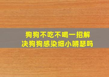 狗狗不吃不喝一招解决狗狗感染细小嘚瑟吗