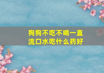 狗狗不吃不喝一直流口水吃什么药好