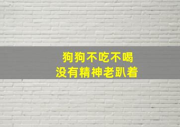 狗狗不吃不喝没有精神老趴着