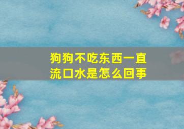 狗狗不吃东西一直流口水是怎么回事