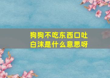 狗狗不吃东西口吐白沫是什么意思呀