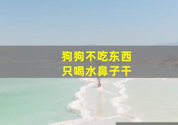 狗狗不吃东西只喝水鼻子干