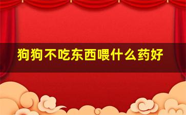 狗狗不吃东西喂什么药好