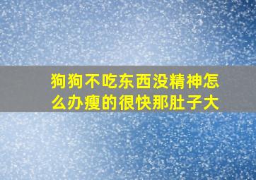 狗狗不吃东西没精神怎么办瘦的很快那肚子大