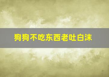 狗狗不吃东西老吐白沫