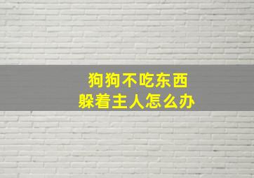 狗狗不吃东西躲着主人怎么办