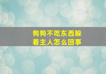 狗狗不吃东西躲着主人怎么回事