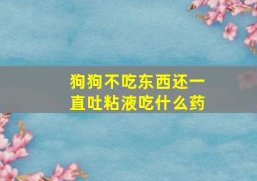 狗狗不吃东西还一直吐粘液吃什么药