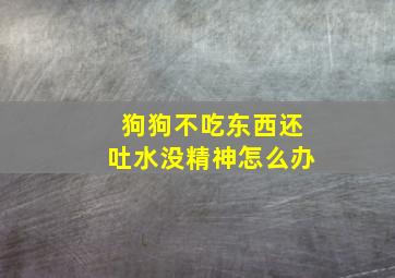 狗狗不吃东西还吐水没精神怎么办