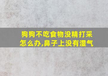 狗狗不吃食物没精打采怎么办,鼻子上没有湿气