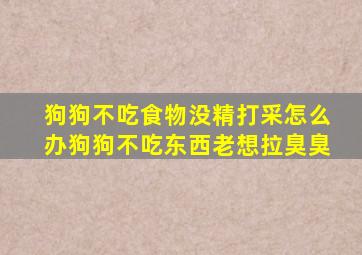 狗狗不吃食物没精打采怎么办狗狗不吃东西老想拉臭臭